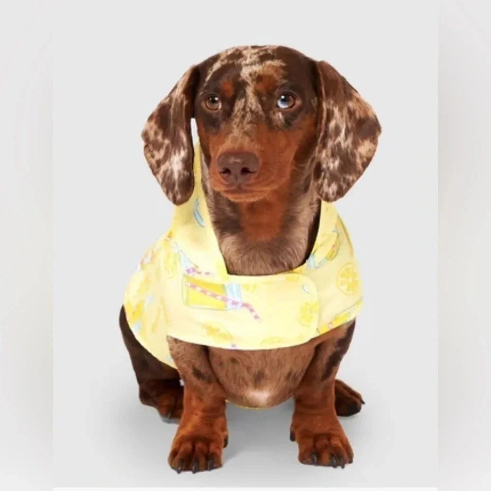 Canada Pooch Pick Me Poncho NWT